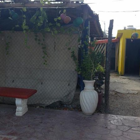 Hostal Y Camping Las G 바칼라르 외부 사진