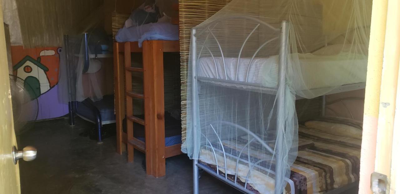 Hostal Y Camping Las G 바칼라르 외부 사진