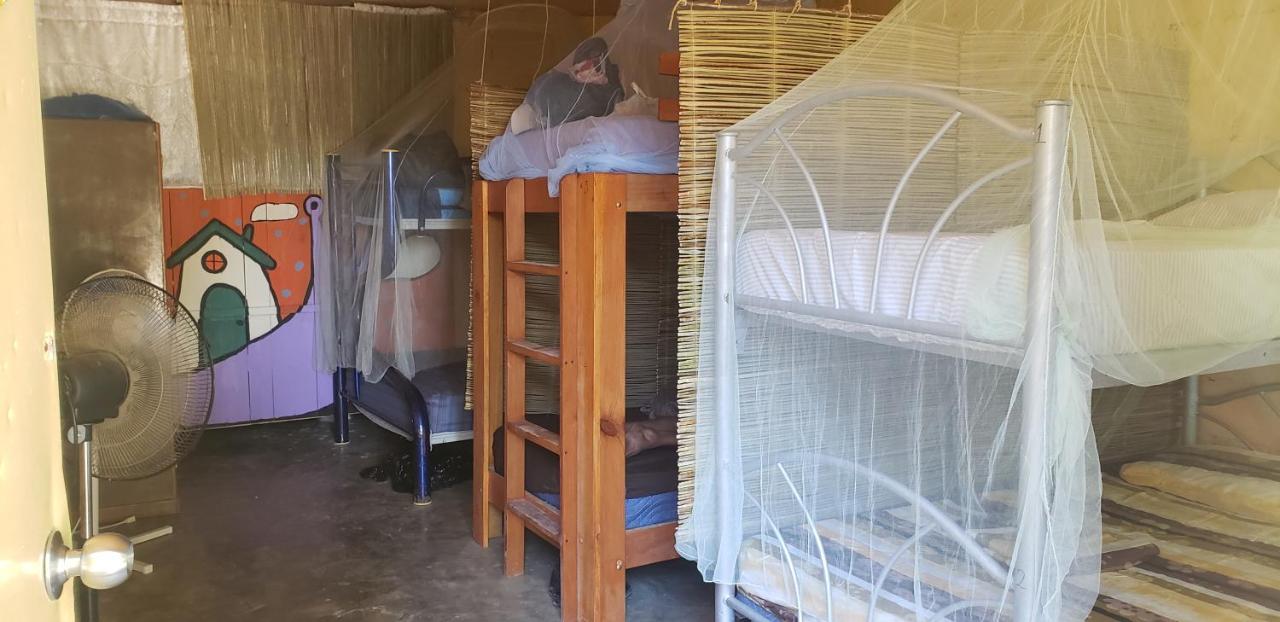 Hostal Y Camping Las G 바칼라르 외부 사진