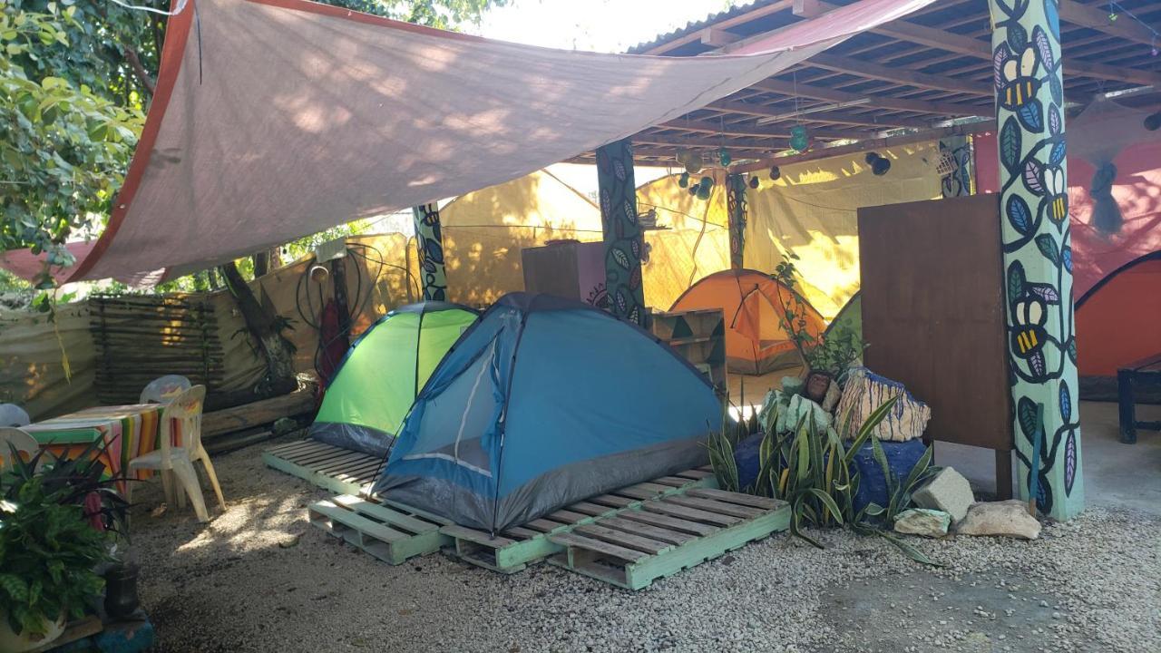 Hostal Y Camping Las G 바칼라르 외부 사진