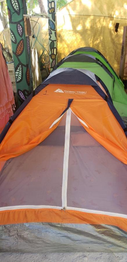 Hostal Y Camping Las G 바칼라르 외부 사진