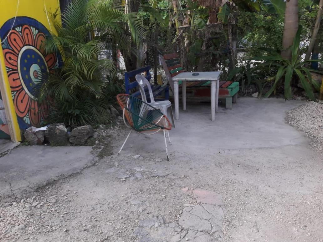 Hostal Y Camping Las G 바칼라르 외부 사진