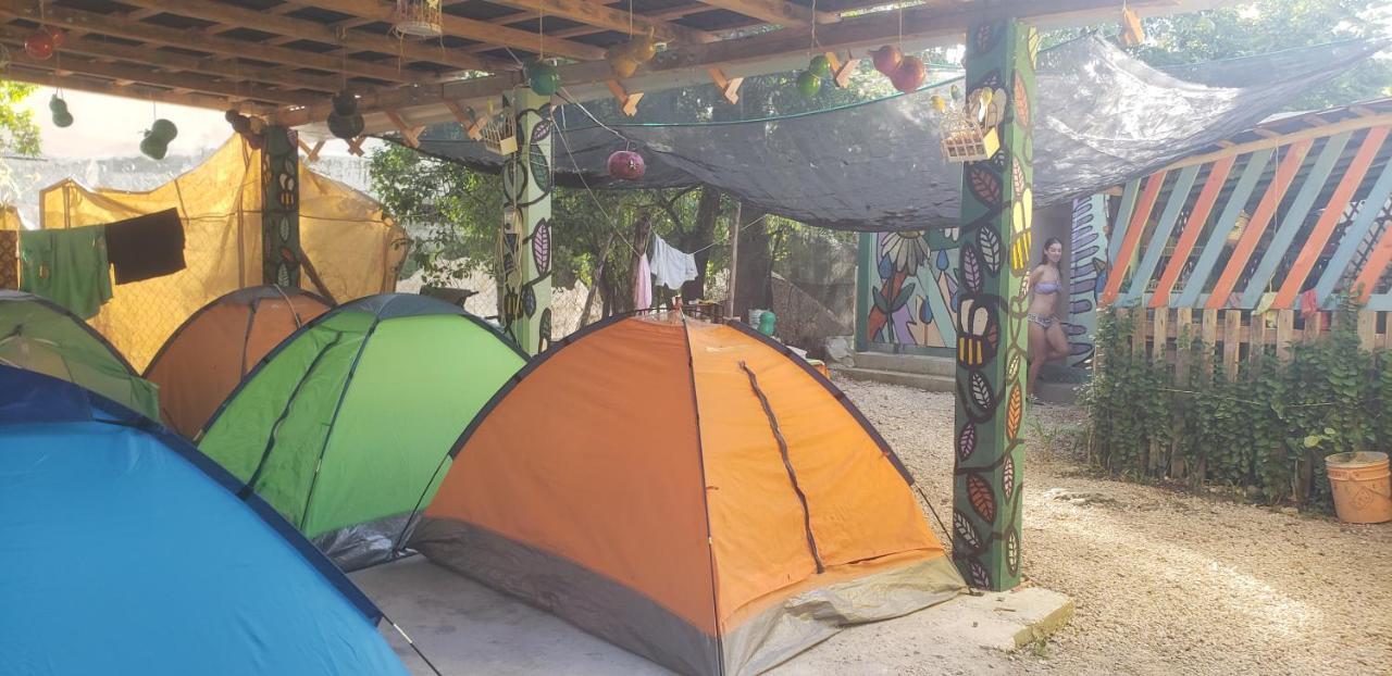 Hostal Y Camping Las G 바칼라르 외부 사진