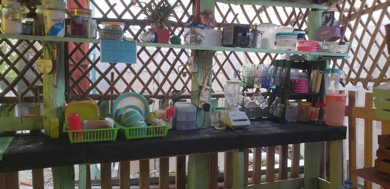 Hostal Y Camping Las G 바칼라르 외부 사진